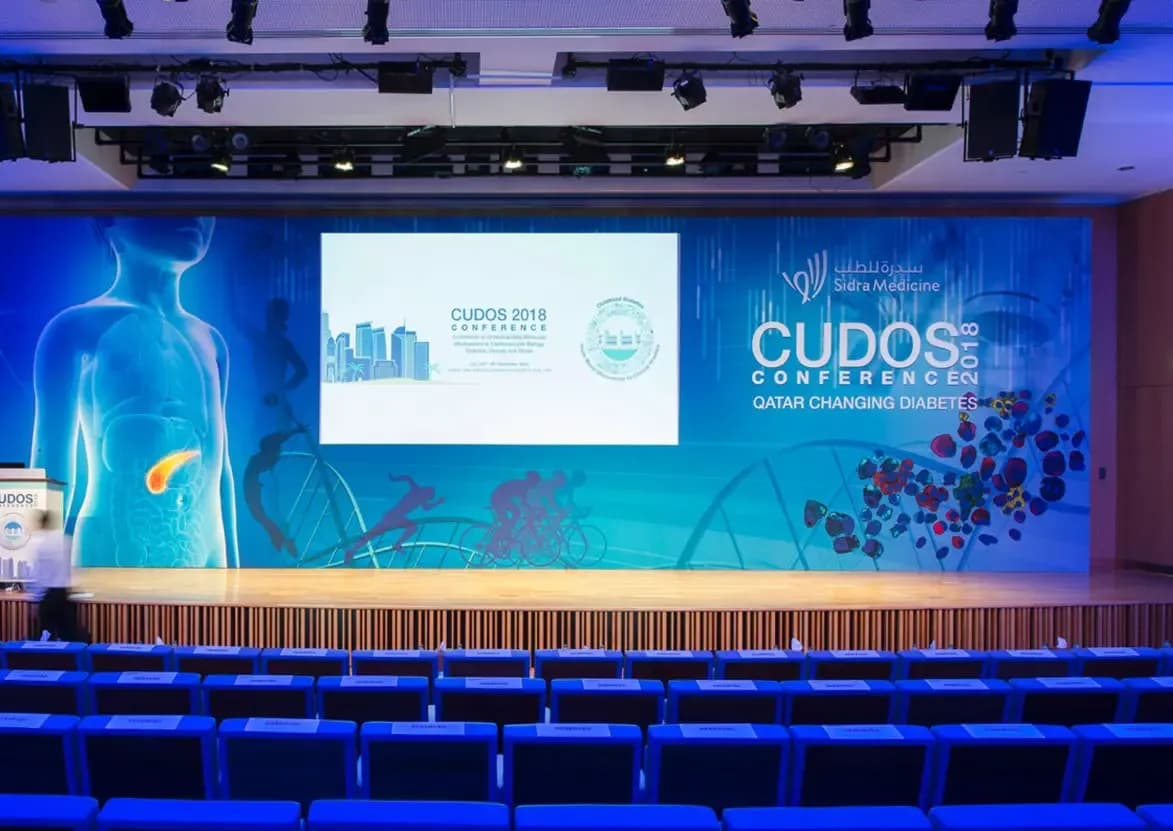 صورة 1 من مشروع SIDRA – CUDOS 2018