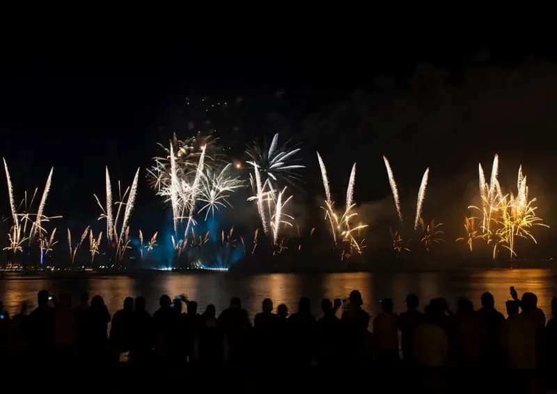 National Day Celebrations 2013 (photo 2)